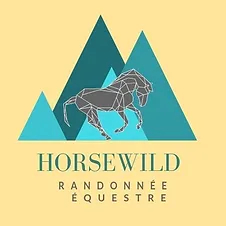Occitanie Horse wild Occitanie Horse wild